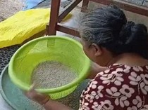 Pedagang Nasi Kuning di Kotim Tertipu Beras Murah, Saat Dibuka Isinya Pasir