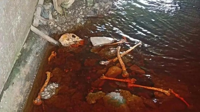 Penemuan tengkorak di Sampit, Kotawaringin Timur yang diduga bukan manusia. (dok Istimewa)