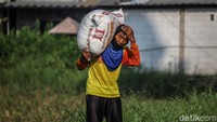Selain itu, fluktuasi harga kebutuhan pokok juga memengaruhi daya beli masyarakat. Kondisi tersebut membuat banyak keluarga harus lebih cermat mengatur pengeluaran.  