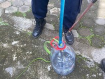 Mak Jegagik! Ular Pucuk Nongol di Gudang Bikin Panik Emak-emak di Semarang
