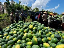 Polres Babar Sulap Lahan Eks Tambang Jadi Kebun, Hasil Panen untuk SPPG
