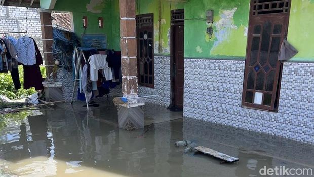 Potret banjir rob di Desa Pantiharjo, Kaliori, Rembang, Senin. (8/6/2026). Potret banjir rob di Desa Pantiharjo, Kaliori, Rembang, Senin. (8/6/2026).