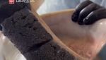 Begini Proses Panen Caviar Sebelum Dijual dengan Harga Selangit