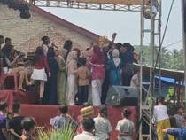 Pesta Pernikahan di Lampung Diserbu Tawon Vespa, Damkar Turun Tangan