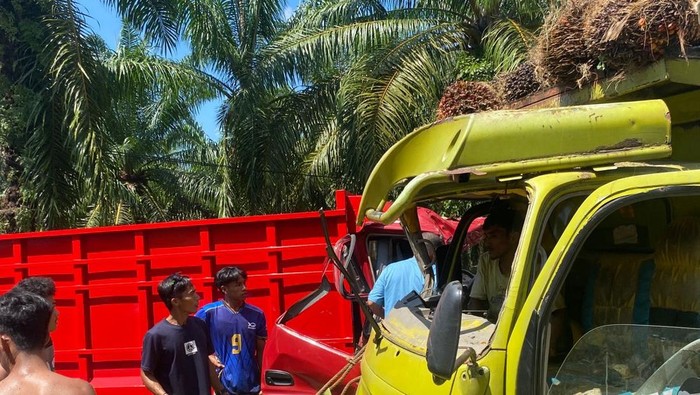 Dua truk terlibat tabrakan maut di Jalan Trans Sulawesi, Mamuju Tengah. Sopir Muis tewas di lokasi, sementara Irpan mengalami luka.