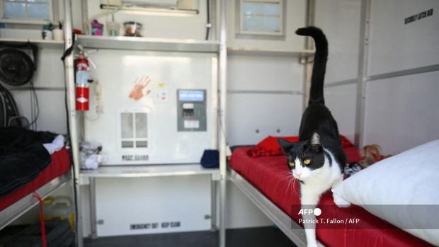 Tiny house di Los Angeles dibangun untuk homeless jelang Piala Dunia 2026.