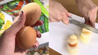 Jangan Asal Ikut Tren! Telur Beku Viral Bisa Picu Kontaminasi Bakteri