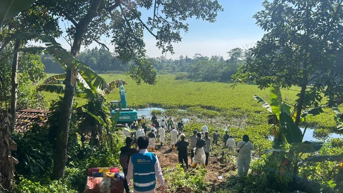 alat berat bersihkan eceng gondok di Sungai Citarum