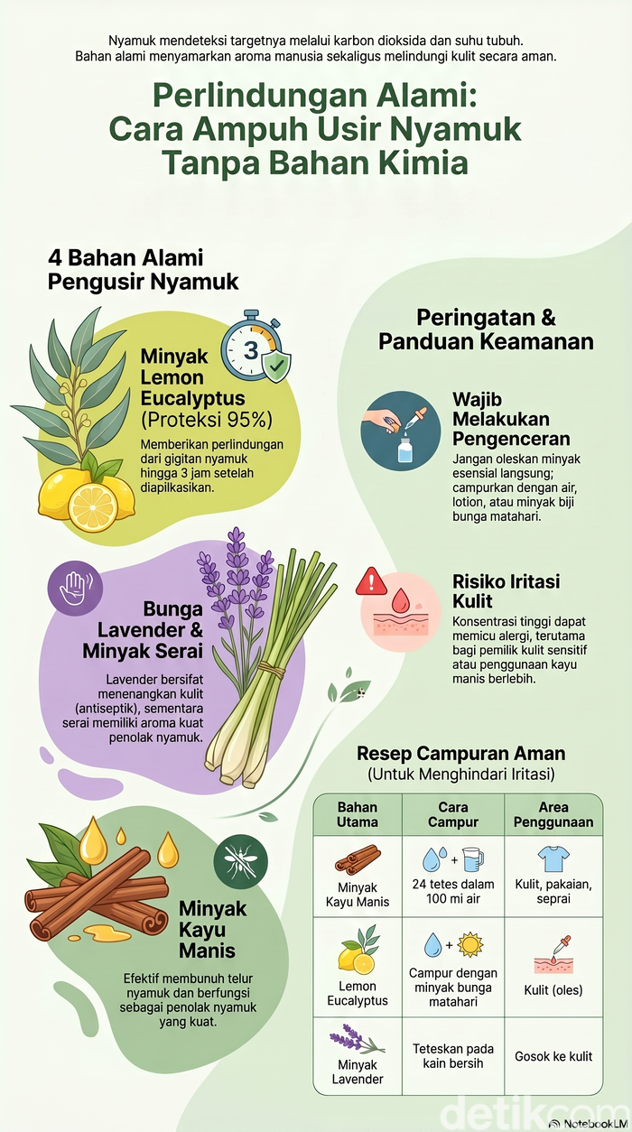Infografis cara menangkal nyamuk dengan bahan-bahan alami