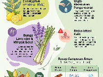 Infografis: 4 Bahan Alami Penangkal Gigitan Nyamuk dan Cara Pakainya