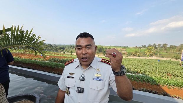 Kalapas Warungkiara, Panji Pamekas Kalapas Warungkiara, Panji Pamekas