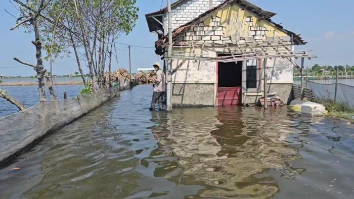 Kondisi banjir rob di Desa Tunggulsari Kecamatan Tayu Kabupaten Pati, Selasa (9/6/2026).