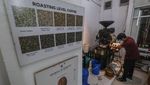 Menjaga Mutu Kopi Nasional dari Ruang Sangrai
