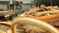 Pekerja mengolah limbah ikan hiu di sentra Pengolahan Hasil Perikanan Tradisional (PHPT), Penjaringan, Jakarta, Selasa (9/6/2026). ANTARA FOTO/Ahmad Naufal Oktavian  