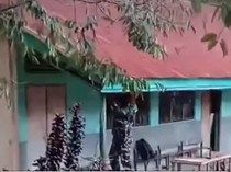 Duduk Perkara SDN di Ende Digusur untuk Kopdes Merah Putih Picu Kericuhan