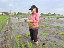 Kurangi Ketergantungan Migas, Ekonomi Nonmigas Bojonegoro Melesat