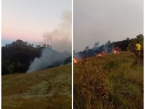 Bukit Sempana Sembalun Terbakar, Puluhan Pendaki Dievakuasi