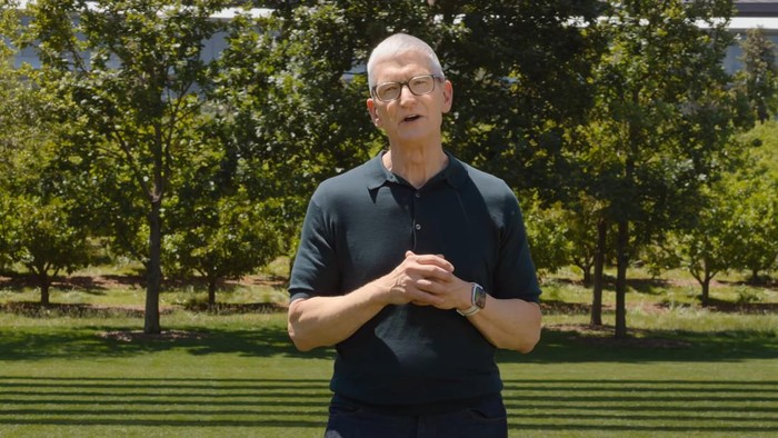 Tim Cook, CEO Apple