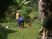 Tim UGM Temukan Anomali di Bawah Tanah Sekitar Rumah Api Seyegan