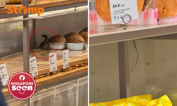Viral Biawak Masuk Toko Roti