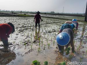 Strategi Kabupaten Bandung Hadapi Potensi Kemarau Panjang
