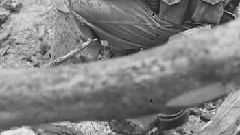 Seorang Marinir AS yang kewalahan terlihat menangis di antara reruntuhan selama Pertempuran Peleliu. 26 September 1944. Foto: historicflix