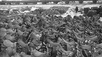 Inilah yang tersisa dari kavaleri Rumania setelah Pertempuran Stalingrad. (1943) Foto: historicflix