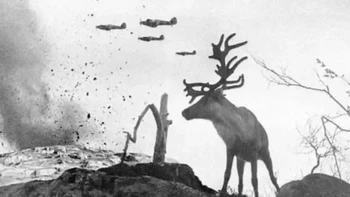 Seekor rusa kutub yang trauma menyaksikan pesawat-pesawat perang menjatuhkan bom di Rusia pada tahun 1941. Foto: Histroricflix