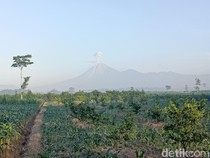 Gunung Semeru 4 Kali Erupsi Pagi Ini, Status Masih Siaga