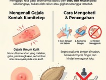 Infografis: Ciri Gigitan Kamitetep, Efek dan Cara Mengobatinya
