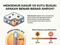 Benarkah Menjemur Kasur Bisa Membunuh Kutu Busuk? Ini Faktanya