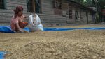 Kerja Keras Petani Dorong Ketahanan Pangan Nasional