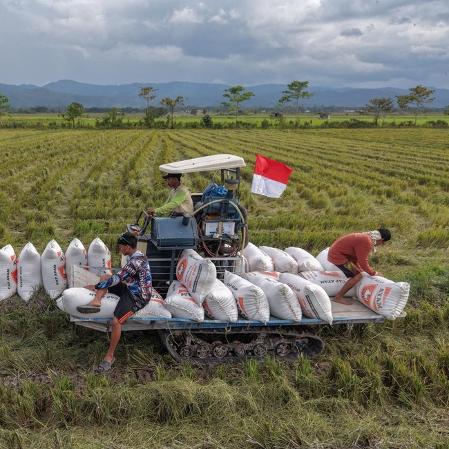 Kerja Keras Petani Dorong Ketahanan Pangan Nasional