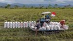 Kerja Keras Petani Dorong Ketahanan Pangan Nasional