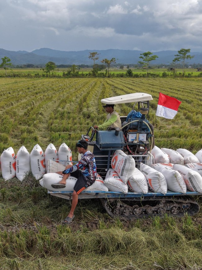 Kerja Keras Petani Dorong Ketahanan Pangan Nasional