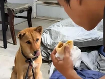 Kurir Makanan Ini Tinggal di Kolong Jembatan Demi Nabung Biaya Kuliah