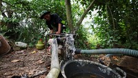 Sebagian petani memilih menggunakan pompa air tanah untuk menjaga sawah tetap basah ketika irigasi tidak lagi mencukupi. Langkah tersebut menambah biaya produksi namun dianggap perlu untuk mempertahankan hasil panen. REUTERS/Willy Kurniawan