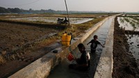 Petani menata saluran dan sumber air di area persawahan sebagai bagian dari upaya menghadapi musim kemarau panjang. Adaptasi menjadi strategi penting untuk mengurangi risiko gagal panen. REUTERS/Willy Kurniawan