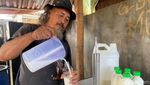 Menilik Perjuangan Gus Embek, Meracik Khasiat dari Susu Kambing Etawa