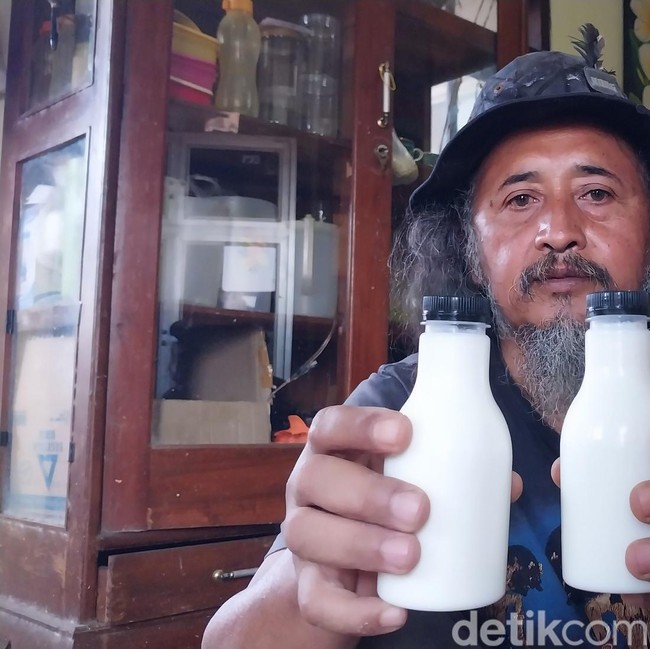 Menilik Perjuangan Gus Embek, Meracik Khasiat dari Susu Kambing Etawa