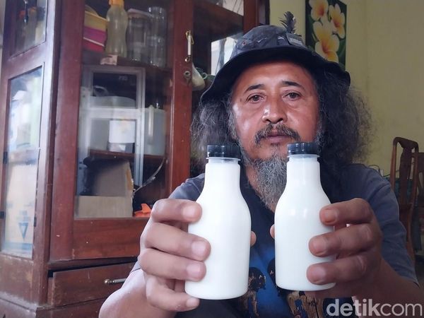 Menilik Perjuangan Gus Embek, Meracik Khasiat dari Susu Kambing Etawa