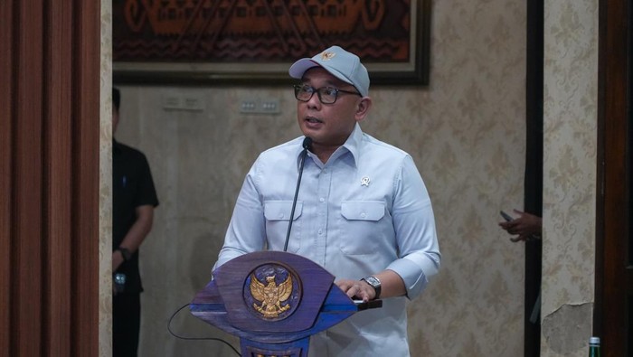Wakil Menteri Investasi dan Hilirisasi/Wakil Kepala Badan Koordinasi Penanaman Modal (BKPM) Todotua Pasaribu
