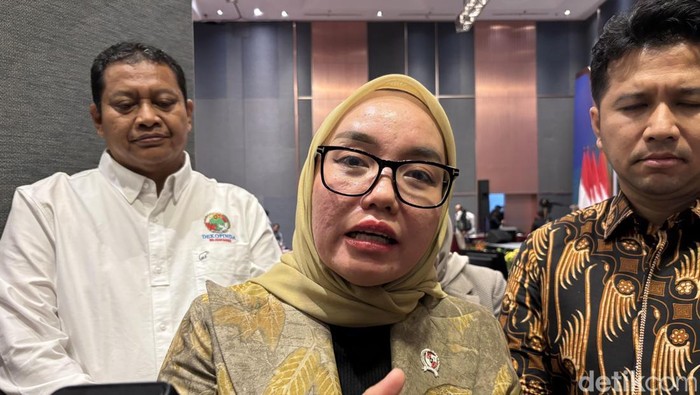 Wakil Menteri Koperasi, Farida Farichah