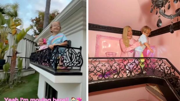 Istana Anjing Paris Hilton Istana Anjing Paris Hilton