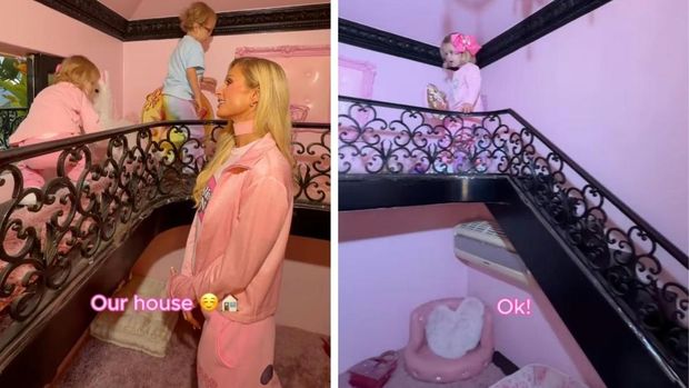 Istana Anjing Paris Hilton Istana Anjing Paris Hilton