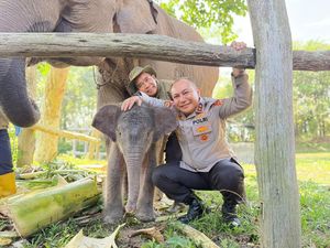Kapolda Riau Beri Nama Anak Gajah TNTN Nona Seroja, Menhut Setuju