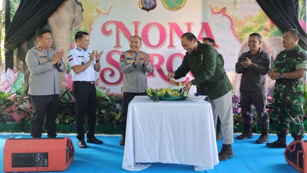 Kapolda Riau Irjen Pol Herry Heryawan memberikan nama 'Nona Seroja' untuk anak gajah Sumatera yang lahir dari indukan Ria di Taman Nasional Tesso Nilo Kapolda Riau Irjen Pol Herry Heryawan memberikan nama 'Nona Seroja' untuk anak gajah Sumatera yang lahir dari indukan Ria di Taman Nasional Tesso Nilo, Kabupaten Pelalawan, Riau, Kamis (11/6/2026).