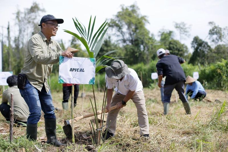 Kegiatan penanaman pohon di lahan restorasi Desa Teluk Rumbia, Aceh Singkil untuk mendukung pemulihan ekosistem yang terdegradasi. Kegiatan penanaman pohon di lahan restorasi Desa Teluk Rumbia, Aceh Singkil untuk mendukung pemulihan ekosistem yang terdegradasi.