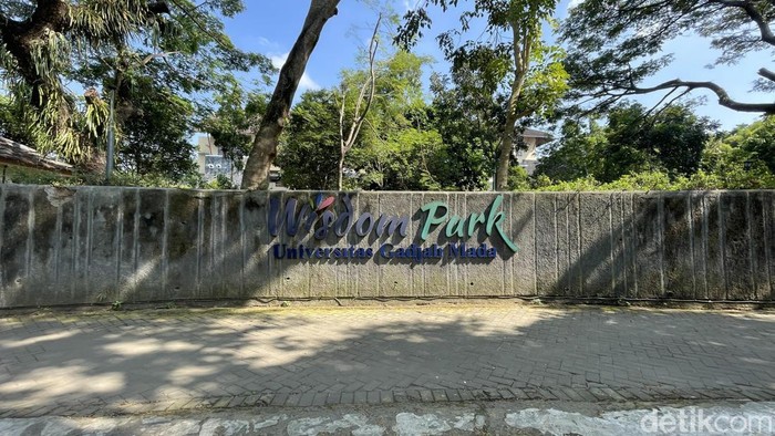 Kucing-kucing liar di Wisdom Park UGM. Foto diunggah Kamis (11/6/2026).