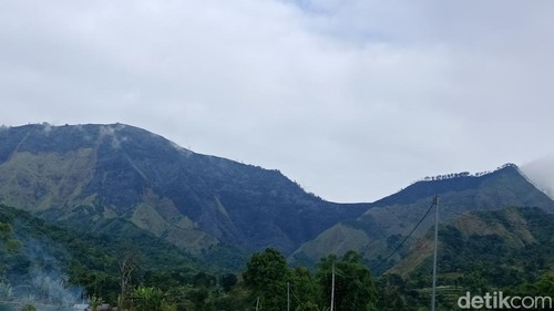 Penampakan Bukit Sempana, Sembalun Bumbung, Lombok Timur, NTB, pascakebakaran. Kamis (11/6/2026).